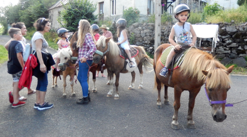 Western Poneys à Murol